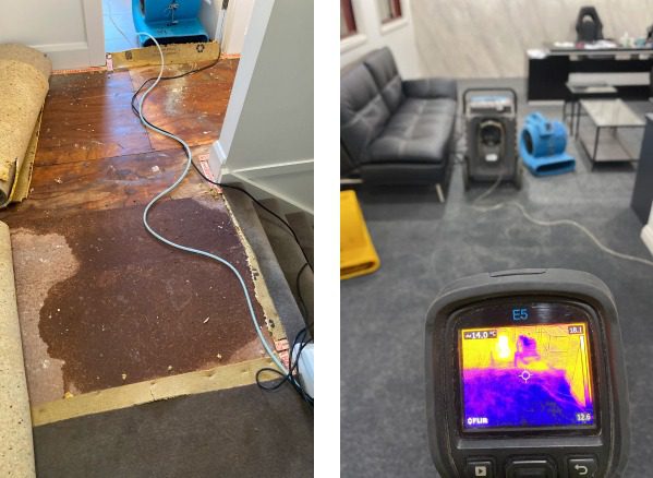 Carpet Drying Emergencies