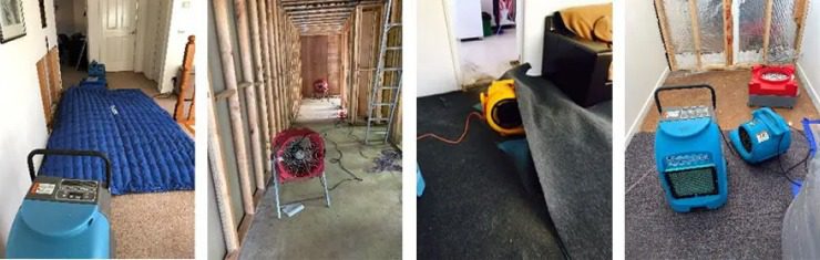 Drying and Moisture Control