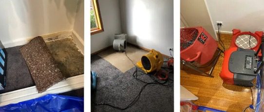 Eliminate Contaminates