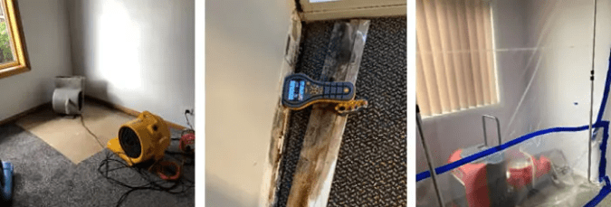 Eliminate Contaminates