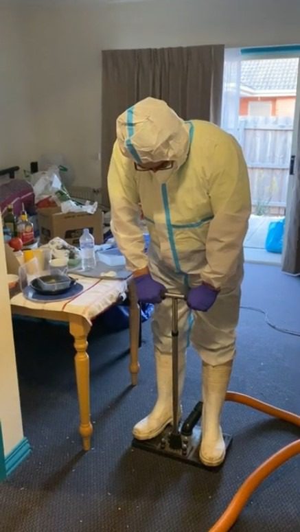 capital carpet drying