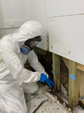 How to Cleanup Mould Successfully
