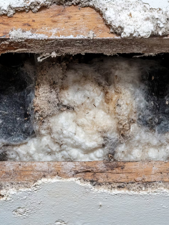 How to Cleanup Mould Successfully