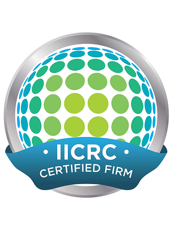 How to Cleanup Mould Successfully