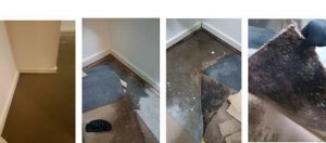 How sever can wet carpet damage really be? Check out the photos below and see for yourself!
