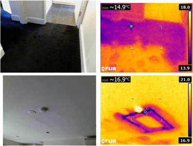 Thermal Imaging Examples