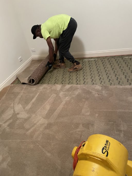 Water Damage Carpet Cleaning