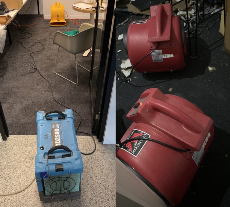 Water-Damaged Carpets and Rugs - NC State Extension Publications