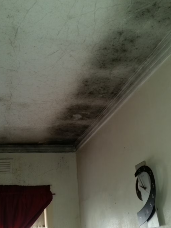 Noticed a Water Damage Ceiling