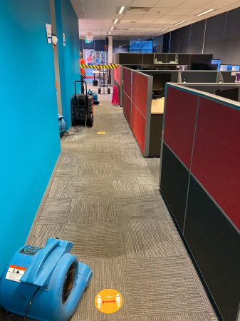 Commercial Restoration Experts