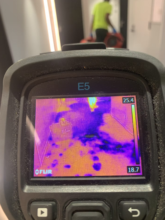 Fast Wet Carpet Restoration